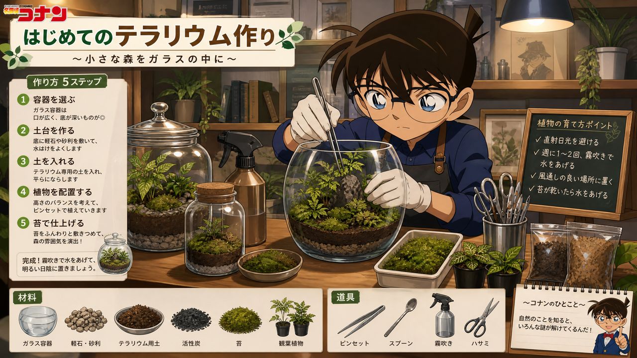 网红主播