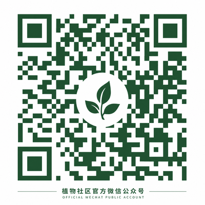 网红主播公众号二维码